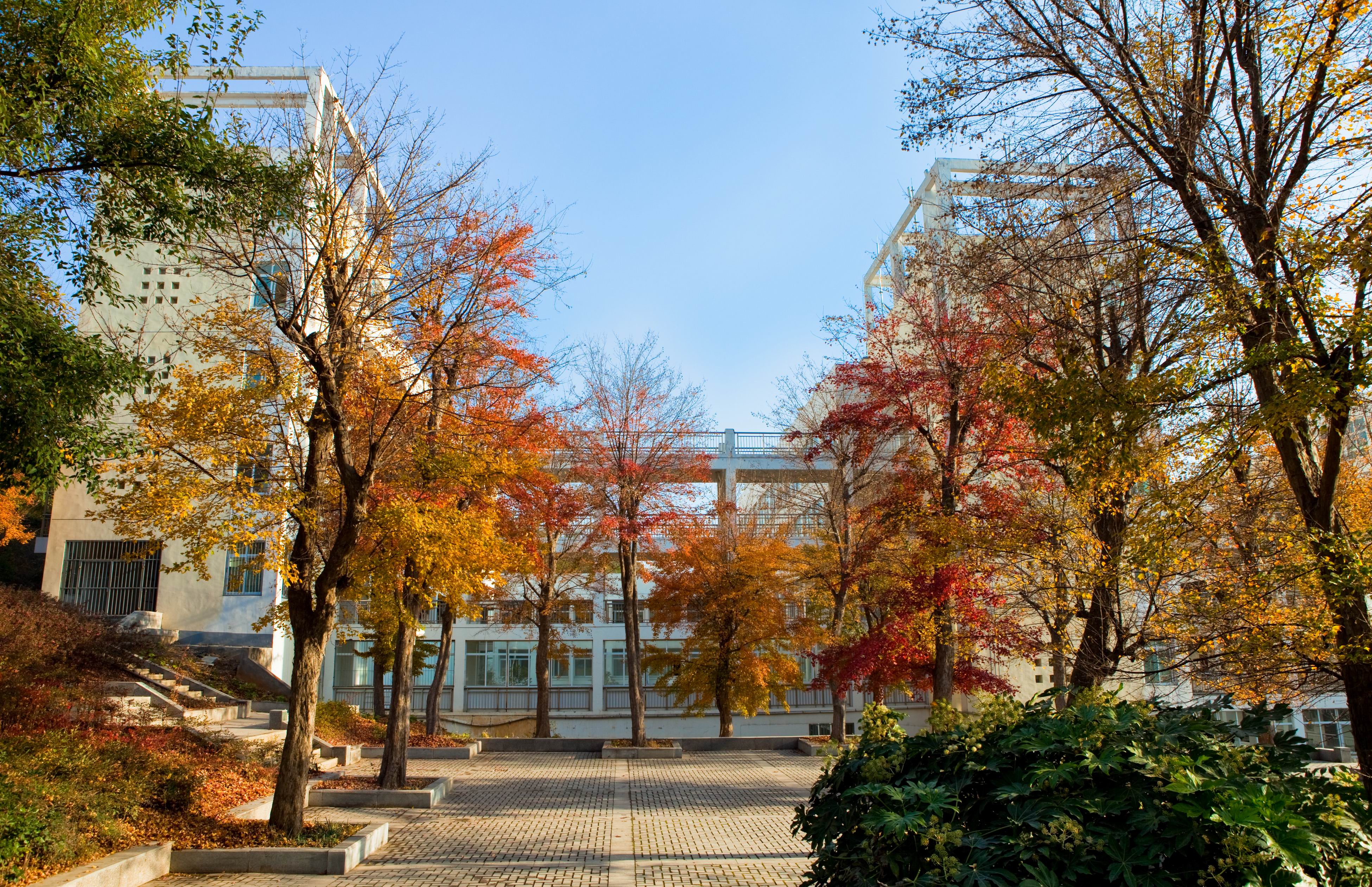 荆楚理工学院成教校园风景06